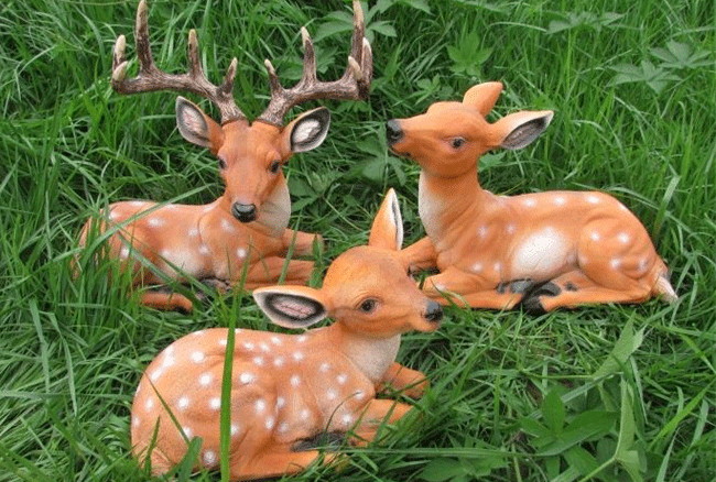 �҂���(l��i)����һ�³��о��^���������N���֪�����٣�